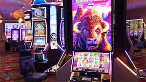 son4d slot live-dealer blackjack table
